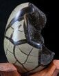 Septarian Dragon Egg Geode - Black Calcite Crystals #33990-2